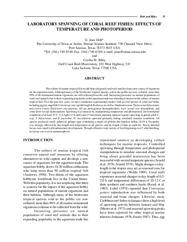 (PDF) Laboratory spawning of coral reef fishes: effects of temperature ...