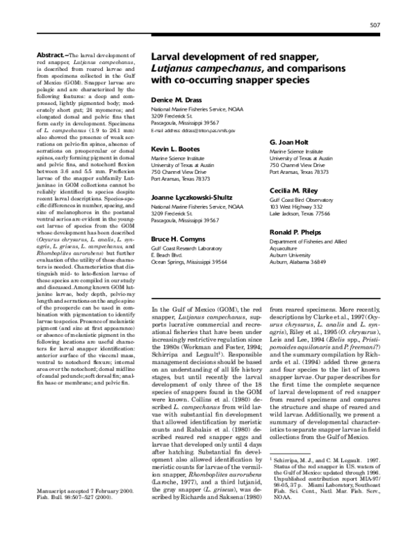 (PDF) Larval development of red snapper, Lutjanus campechanus, and ...