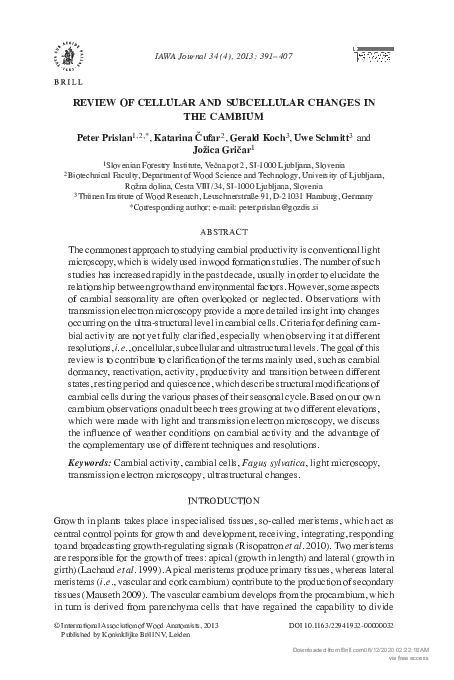 (PDF) Review of cellular and subcellular changes in the cambium