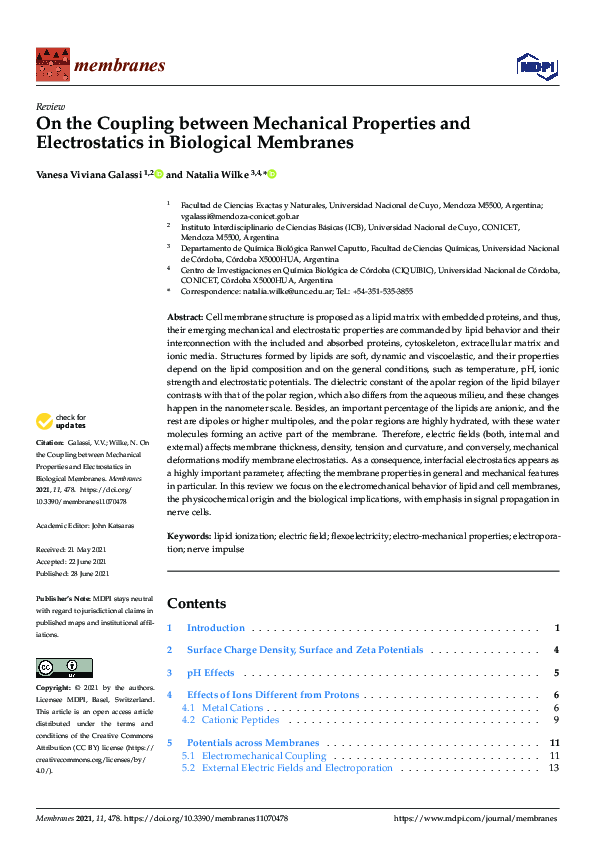 (PDF) On the Coupling between Mechanical Properties and Electrostatics ...
