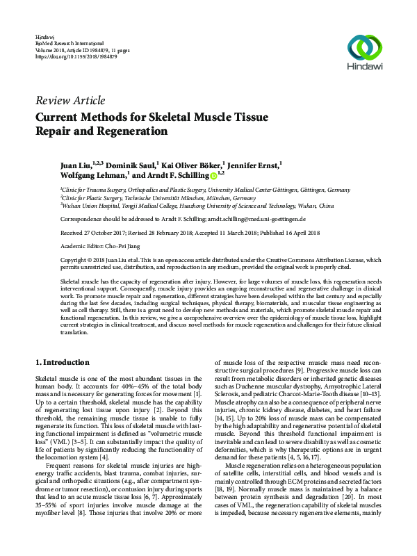 (PDF) Current Methods for Skeletal Muscle Tissue Repair and Regeneration