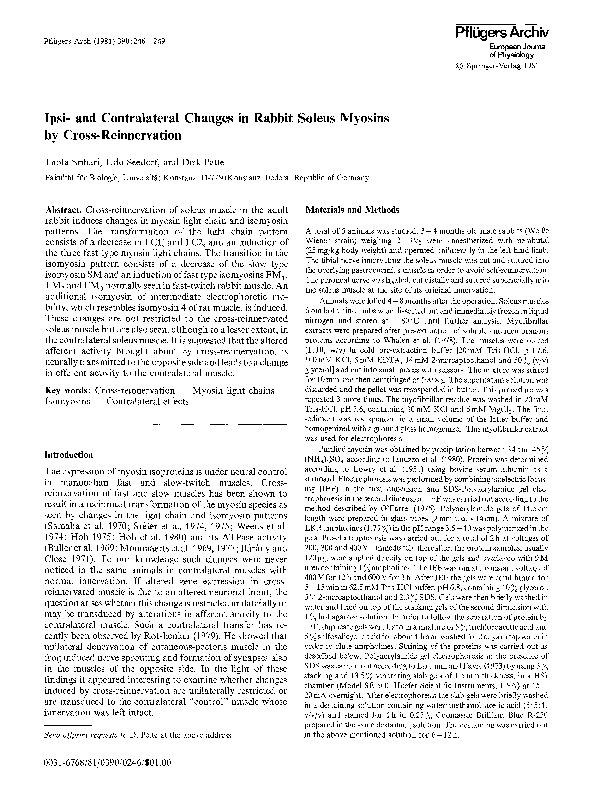 (PDF) Ipsi- and contralateral changes in rabbit soleus myosins by cross ...