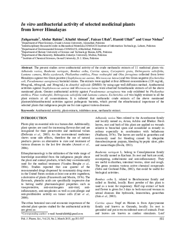 (PDF) In vitro antibacterial activity of selected medicinal plants from ...