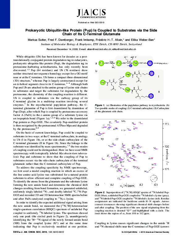 (PDF) Prokaryotic Ubiquitin-like Protein (Pup) Is Coupled to Substrates ...