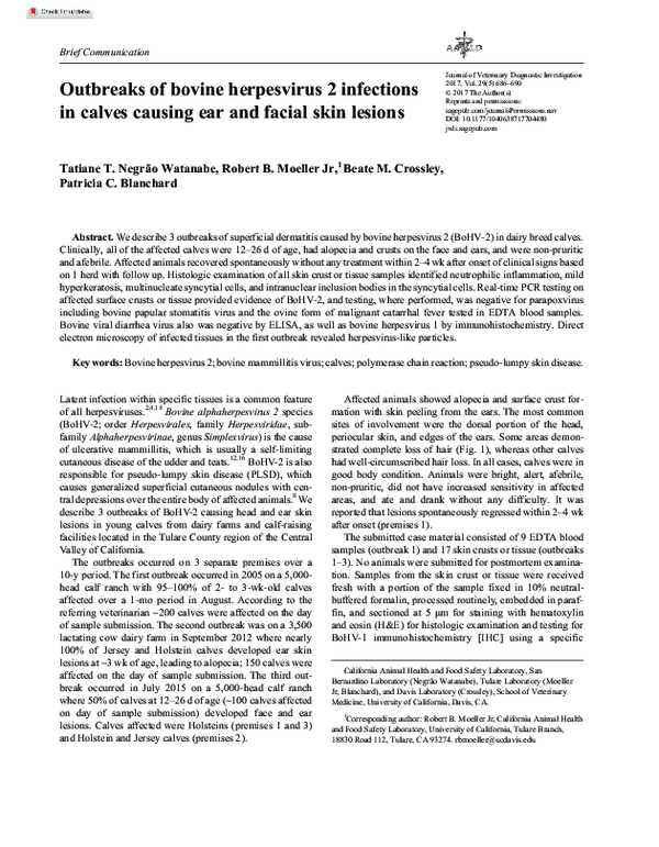 (PDF) Outbreaks of bovine herpesvirus 2 infections in calves causing