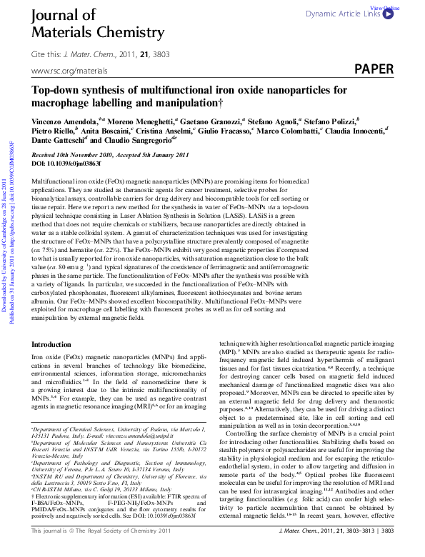 (PDF) Top-down synthesis of multifunctional iron oxide nanoparticles ...
