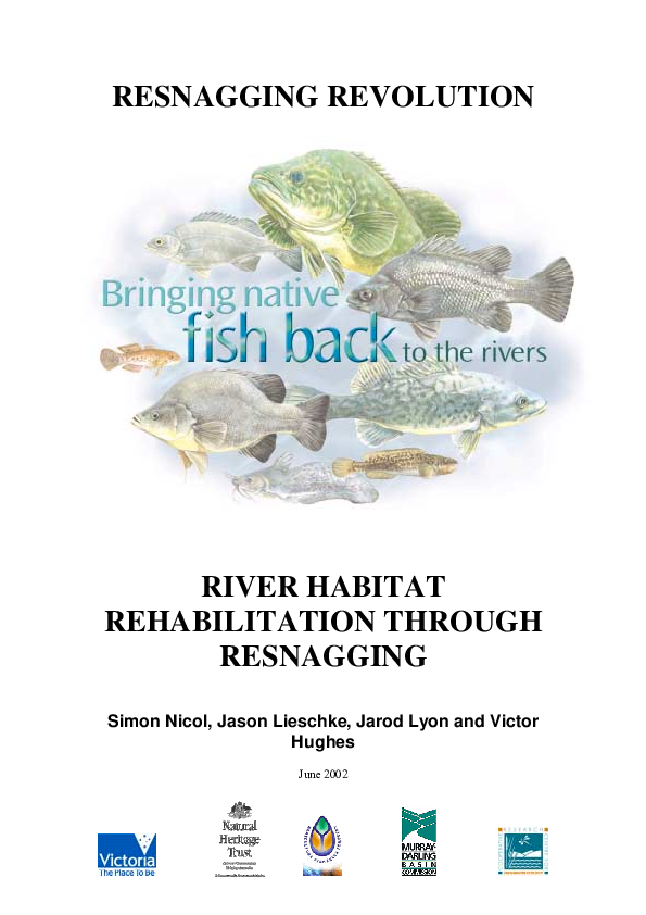 (PDF) River Rehabilitation through Resnagging