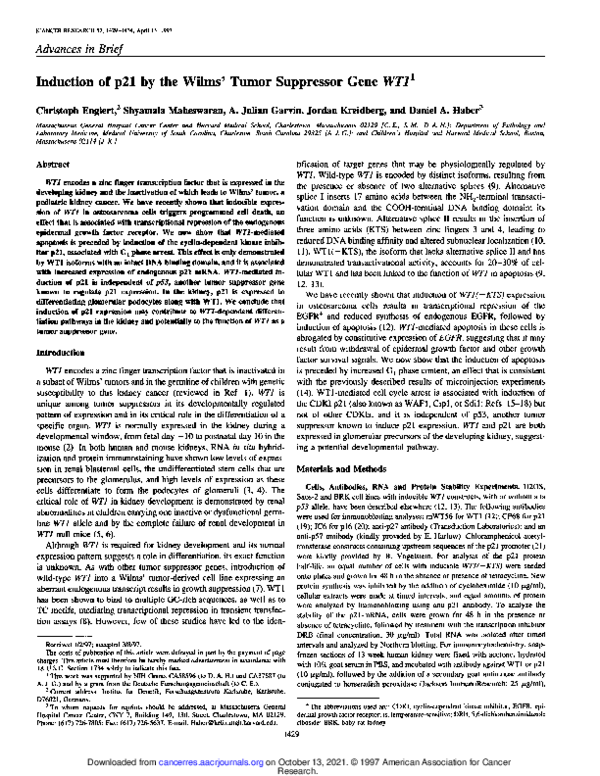 (PDF) Induction of p21 by the Wilms' tumor suppressor gene WT1