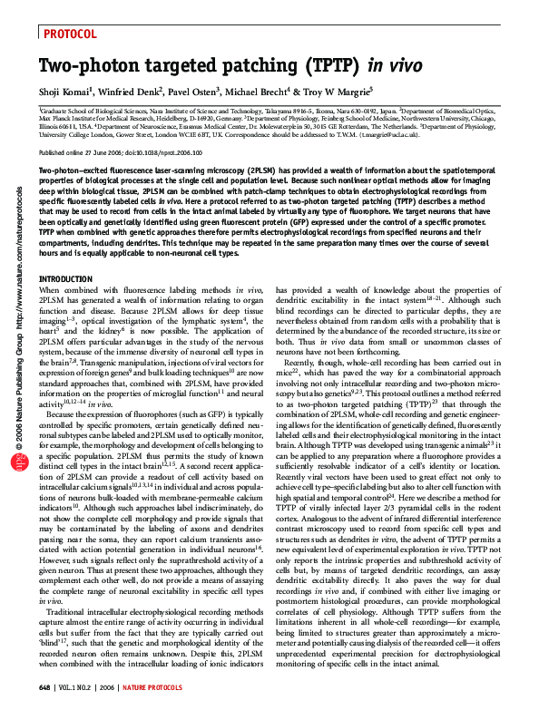 (PDF) Two-photon targeted patching (TPTP) in vivo