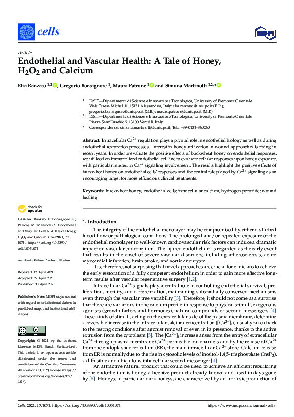 (PDF) Endothelial and Vascular Health: A Tale of Honey, H2O2 and Calcium