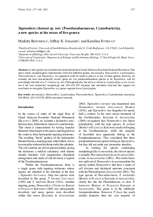(PDF) Tapinothrix clintonii sp. nov. (Pseudanabaenaceae, Cyanobacteria ...