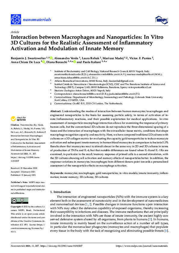 (PDF) Interaction between Macrophages and Nanoparticles: In Vitro 3D ...