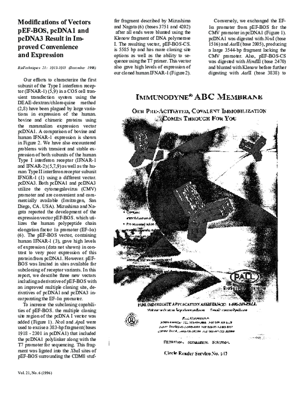 (PDF) Modifications of vectors pEF-BOS, pcDNA1 and pcDNA3 result in ...