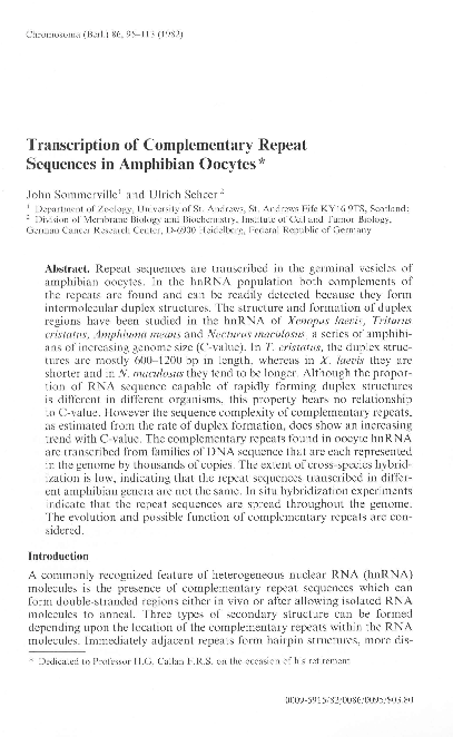 (PDF) Transcription of complementary repeat sequences in amphibian oocytes