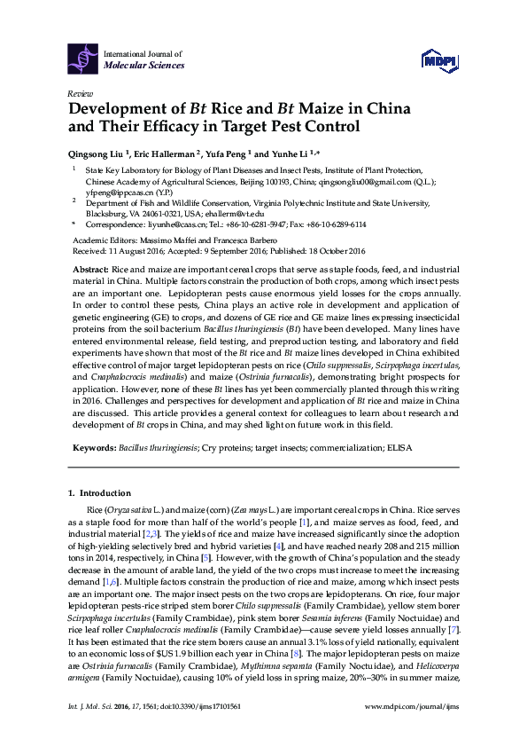 (PDF) Development of Bt Rice and Bt Maize in China and Their Efficacy ...