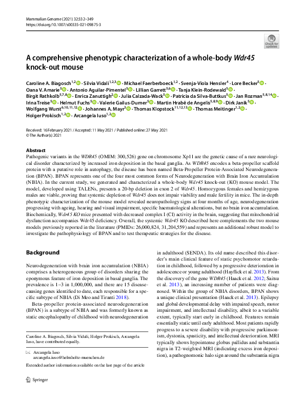 (PDF) A comprehensive phenotypic characterization of a whole-body Wdr45 ...