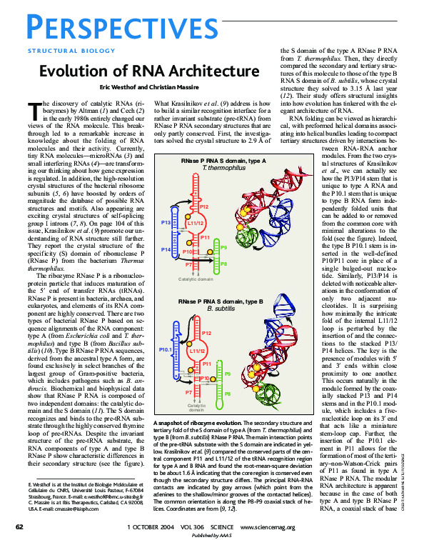 (PDF) STRUCTURAL BIOLOGY: Evolution of RNA Architecture