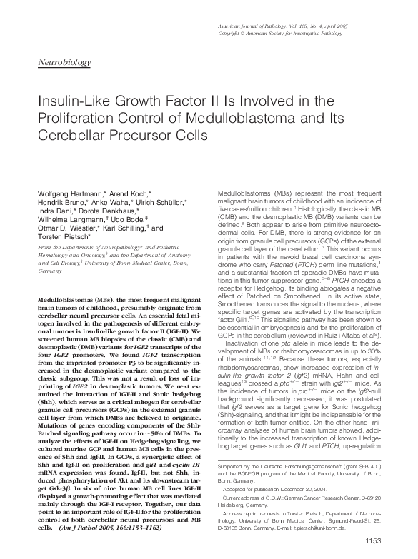 (PDF) Insulin-Like Growth Factor II Is Involved in the Proliferation ...