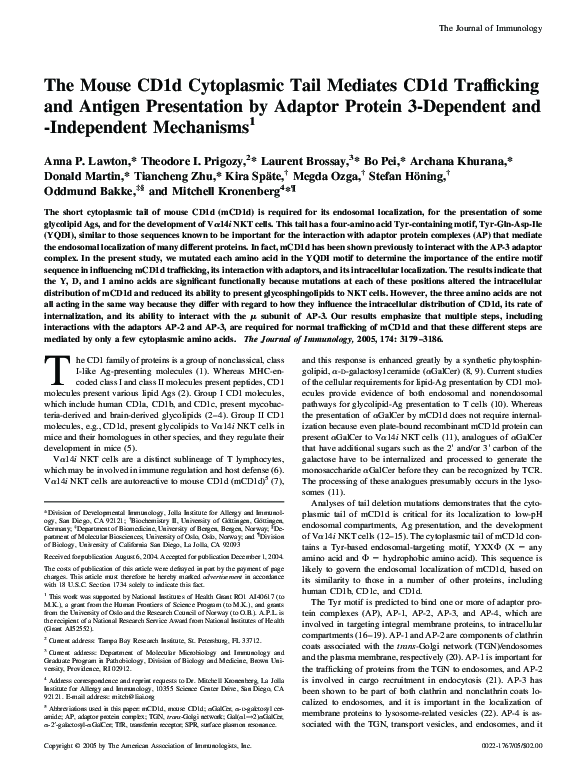 (PDF) The Mouse CD1d Cytoplasmic Tail Mediates CD1d Trafficking and ...