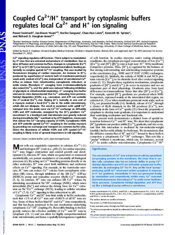 (PDF) Coupled Ca2+/H+ transport by cytoplasmic buffers regulates local ...