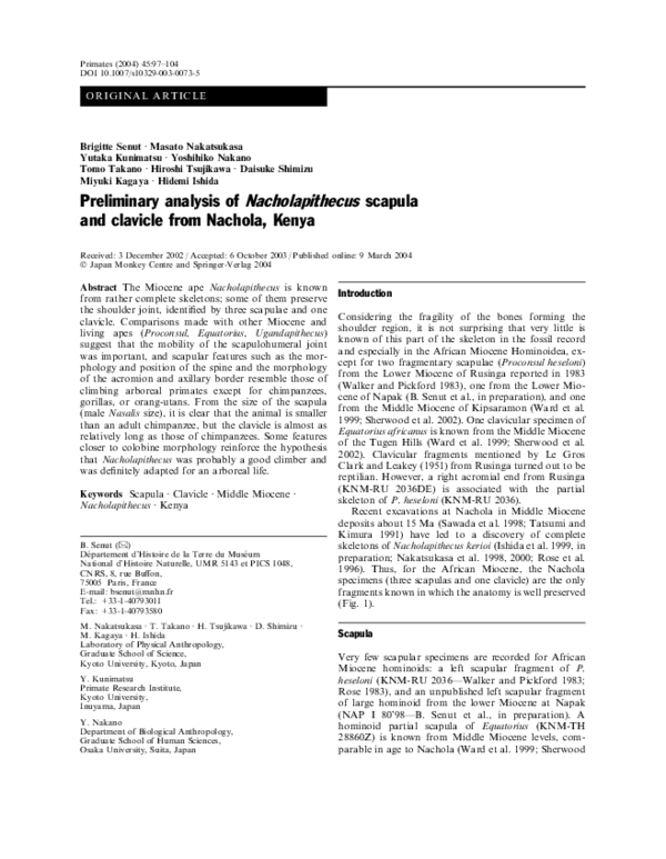 (PDF) Preliminary analysis of Nacholapithecus scapula and clavicle from ...