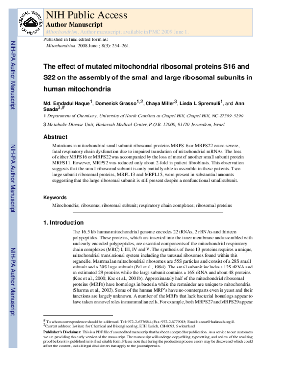 (PDF) The effect of mutated mitochondrial ribosomal proteins S16 and ...