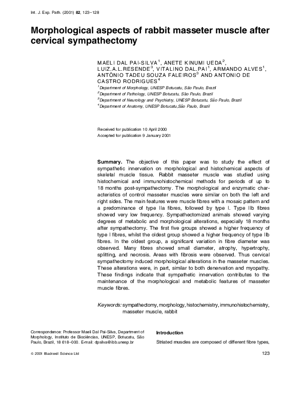 (PDF) Morphological aspects of rabbit masseter muscle after cervical ...