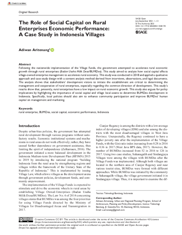 (PDF) The Role of Social Capital on Rural Enterprises Economic ...