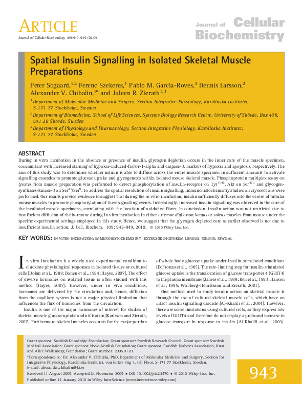 (PDF) Spatial insulin signalling in isolated skeletal muscle