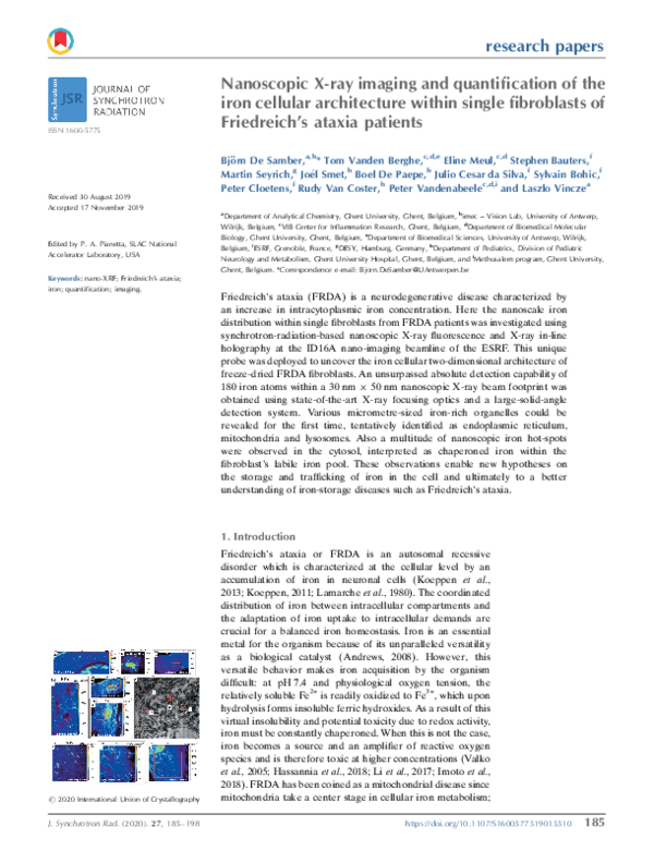 (PDF) Nanoscopic X-ray imaging and quantification of the iron cellular ...