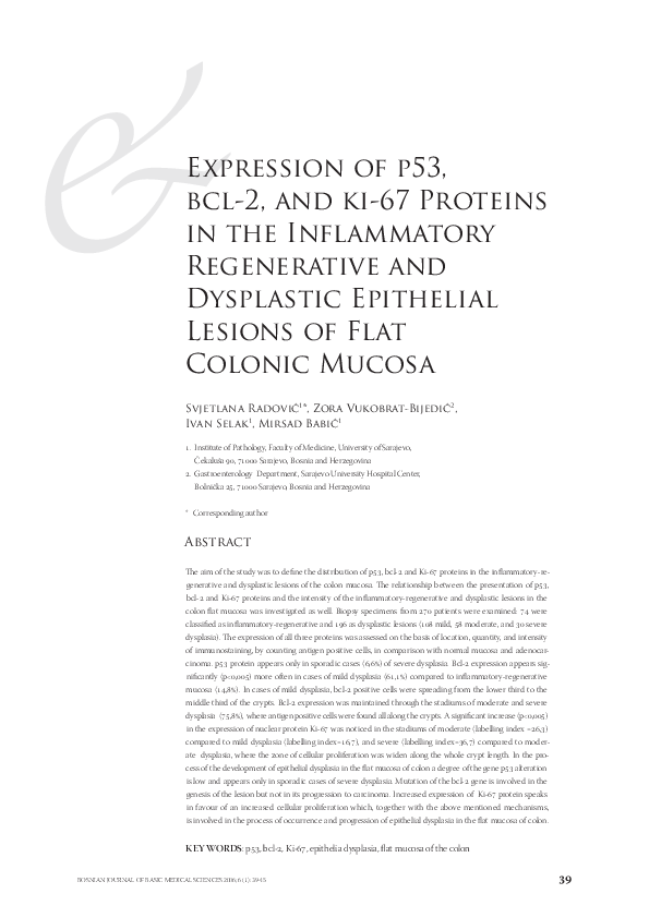 (PDF) Expression of p53, bcl-2, and ki-67 Proteins in the Inﬂammatory ...