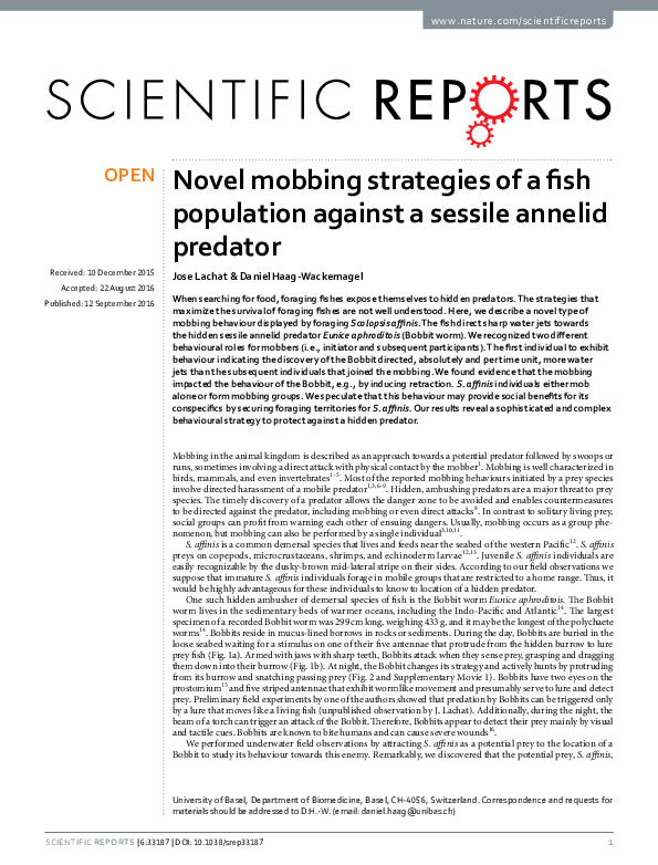 (PDF) Novel mobbing strategies of a fish population against a sessile ...