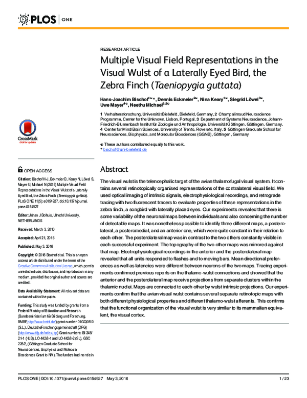 (PDF) Multiple Visual Field Representations in the Visual Wulst of a ...