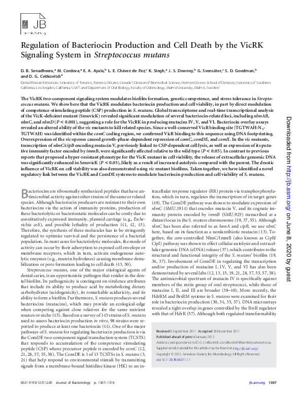 Manufacturing cell essay picture