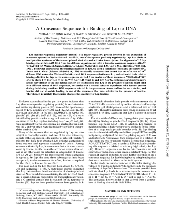 (PDF) A consensus sequence for binding of Lrp to DNA