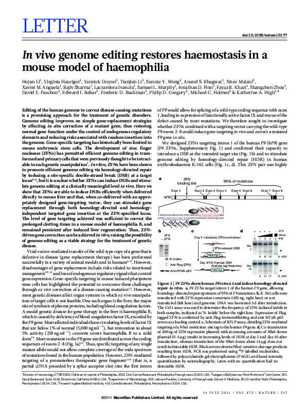 (PDF) In vivo genome editing restores haemostasis in a mouse model of ...