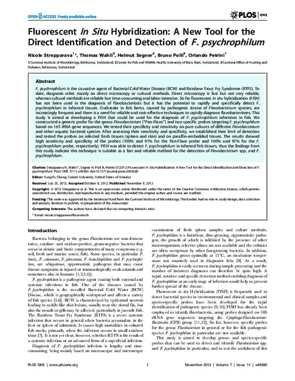 (PDF) Fluorescent In Situ Hybridization: A New Tool for the Direct ...