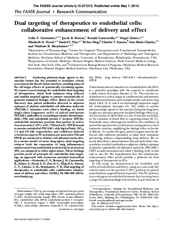 (PDF) Dual targeting of therapeutics to endothelial cells ...
