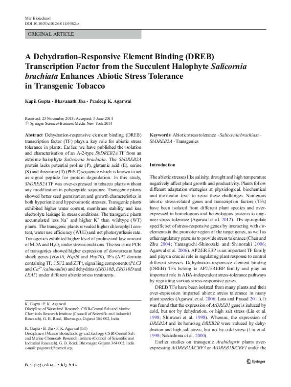 (PDF) A Dehydration-Responsive Element Binding (DREB) Transcription ...