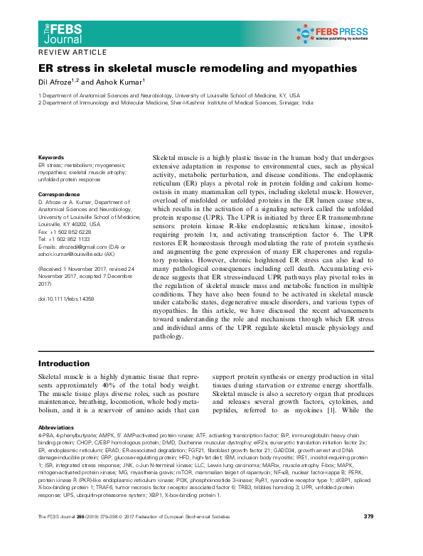 (PDF) ER Stress in Skeletal Muscle Remodeling and Myopathies