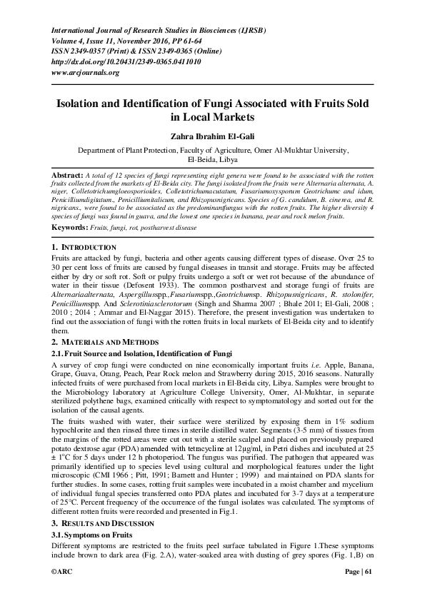 (PDF) Isolation And Identification Of Fungi Associated With The ...