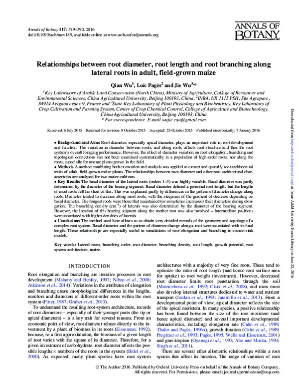 (PDF) Relationships between root diameter, root length and root ...