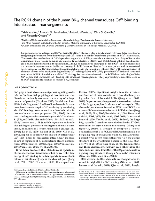 (PDF) The RCK1 domain of the human BKCa channel transduces Ca2+ binding ...