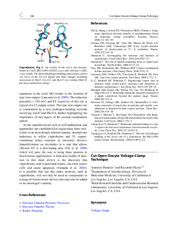 (PDF) CutOpen Oocyte VoltageClamp Technique Riccardo Olcese
