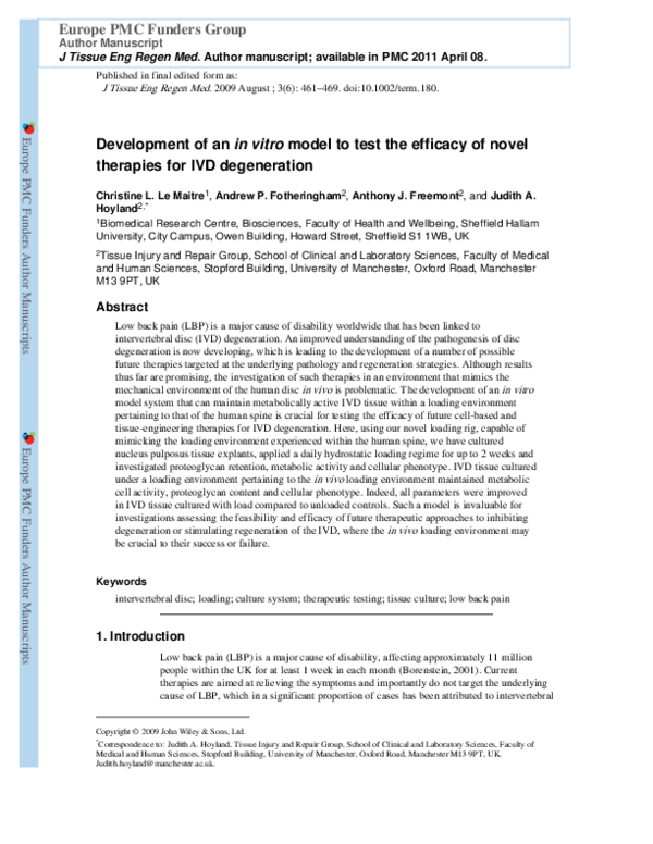 (PDF) Development of an in vitro model to test the efficacy of novel ...