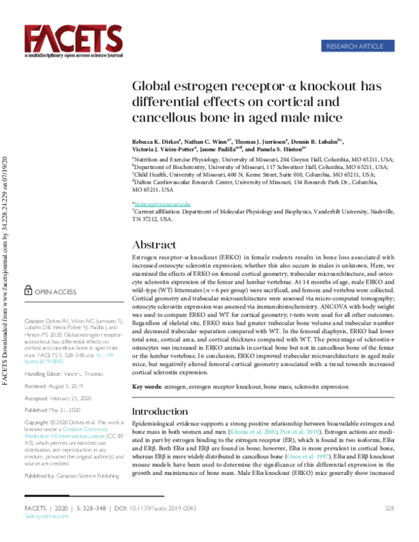 (PDF) Global estrogen receptor-α knockout has differential effects on ...