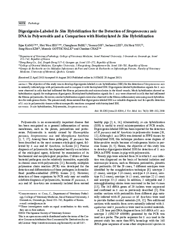 (PDF) Digoxigenin-Labeled In Situ Hybridization for the Detection of ...