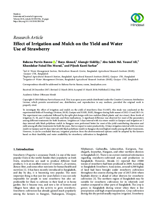 (PDF) Effect of Irrigation and Mulch on the Yield and Water Use of ...