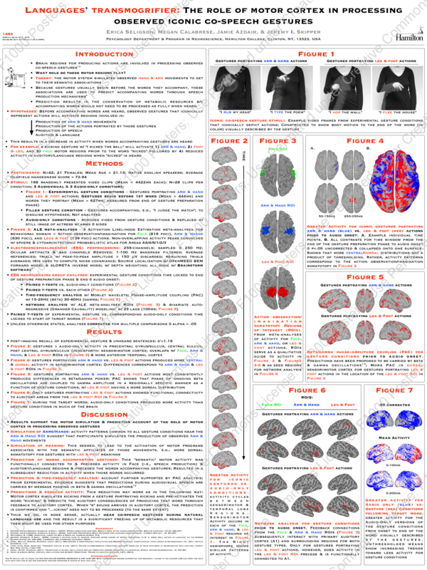 (PDF) The role of motor cortex in processing observed iconic co-speech ...