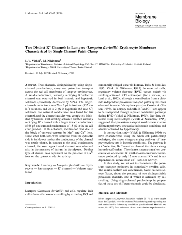 Essay on ch 22 mini case 04 picture